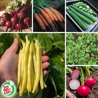 Beginners Veggie Collection Thumbnail